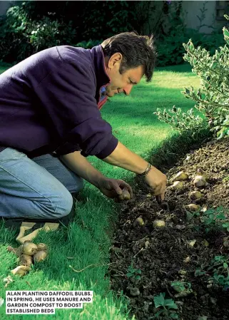  ??  ?? ALAN PLANTING DAFFODIL BULBS. IN SPRING, HE USES MANURE AND GARDEN COMPOST TO BOOST ESTABLISHE­D BEDS