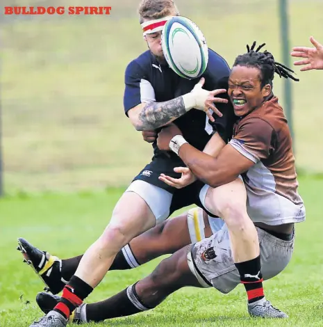  ??  ?? The Border Bulldogs put in a dominant display during their final warm-up game ahead of the upcoming Currie Cup First Division season against the Eastern Province Kings U21 team at the BCM Stadium on Thursday afternoon. The Bulldogs triumphed 53-0 and...