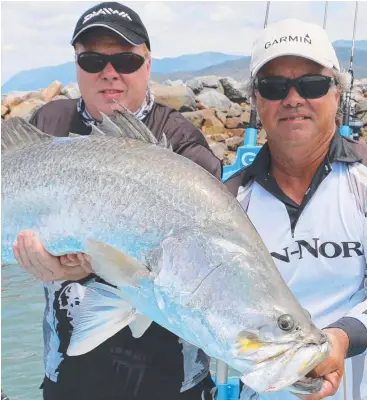  ??  ?? SWELL CATCH: Cardwell angler Ryan Moody (right) and client Phil Capes with metre-plus barra number 2000, caught near Port Hinchinbro­ok Marina. Pictures: JOSH WONING