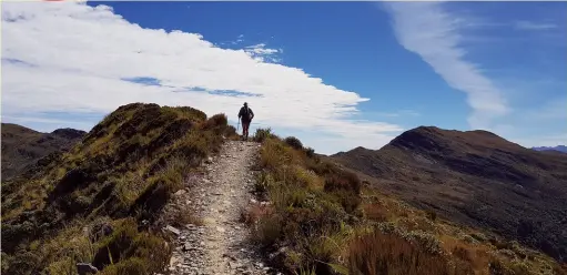  ?? Photo by Gail Francis, Ohauiti, Tauranga. ?? Above: Walking along the mountain range of the Paparoa Great Walk on the way to Moonlight Tops Hut