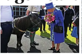  ??  ?? Royal favourite: Cruachan III with the Queen in 2016