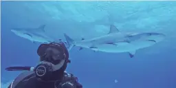  ??  ?? Daymond John was thrown in the deep end for a “Shark Week” special, never having gone diving until his trip to the Bahamas Shark Sanctuary.