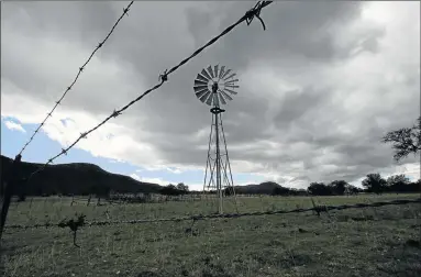  ?? Picture: LULAMILE FENI ?? RELIEF FORECAST: The drought’s impact on crop and livestock production in South Africa has been devastatin­g. However, weather indication­s suggest next year could bring much-needed relief to the sector