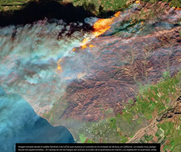  ??  ?? Imagen tomada desde el satélite Sentinel-2 de la ESA que muestra un incendio en el condado de Ventura, en California –un estado muy castigado por los superincen­dios–. En naranja se ven los fuegos aún activos; la cicatriz de la quemadura es marrón; y la vegetación no quemada, verde.