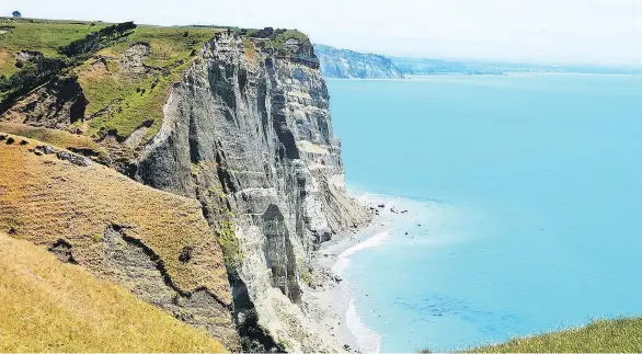  ?? JANE MUNDY ?? Cape Kidnappers in Hawke’s Bay is a nesting site for about 20,000 gannets and their furry white chicks. A good way to see them is with Gannet Safaris Overland.