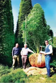  ??  ?? Lukas Schmitz, Gerhard Schmitz und Martin Straßen organisier­en die Verpflanzu­ng einer Säulenhain­buche in einen Garten.