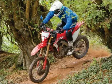  ??  ?? Tout est permis au guidon de la CRF-L qui se montre très à l’aise dans les chemins. On prend vite ses marques sur cet ensemble bien suspendu, attention toutefois sur terrain gras avec les pneus trail.