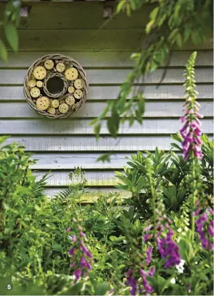  ??  ?? 4 Friends of the Earth planted this wildflower garden in Cwmbran, South Wales as part of its ‘Bee Cause’ campaign
5 A bee hotel provides a valuable nesting site for solitary bees 5