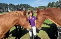  ?? JAMIE SEARLE/FAIRFAX NZ 634075233 ?? Julia Latham with her horses, Gracie, left, and Maxi