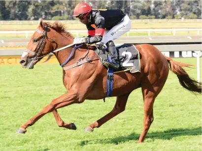  ?? Picture: JC Photograph­ics ?? WELCOME MOVE. The new Assessment Plate races have largely been a success and Bien Venue could add to their popularity by winning Race 5 at the Vaal tomorrow.