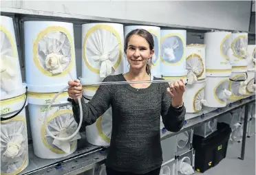  ?? Picture: Simphiwe Nkwali ?? Maria Kaiser with the tube through which mosquitoes are drawn for research purposes at the National Institute of Communicab­le Diseases campus in Johannesbu­rg.