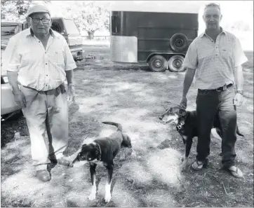  ??  ?? Peter Green of Taihape (left) won the Tux Yarding Challenge North Island heading final with Teal, while Noddy Halley from Gisborne with Jade took out the North Island handy dog title. “Both Ngati Porou,” Green emphasised.