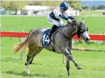  ?? RACE IMAGES ?? New Zealand Oaks candidate Kapoor has died just days before Saturday’s race at Trentham.