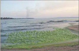  ??  ?? Este es el aspecto que presenta el lago Ypacaraí en un sector de la playa de San Bernardino. Existe ahora un plan para limpiar ese recurso hídrico. (Lea más en la pág. 19)