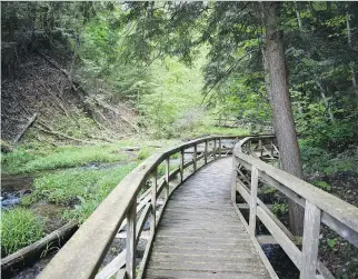  ?? PHOTOS: BARBARA TAYLOR ?? The beautiful boardwalk to Weaver’s Creek Falls is one of the many scenic trails worth exploring in Owen Sound’s family-friendly Harrison Park.