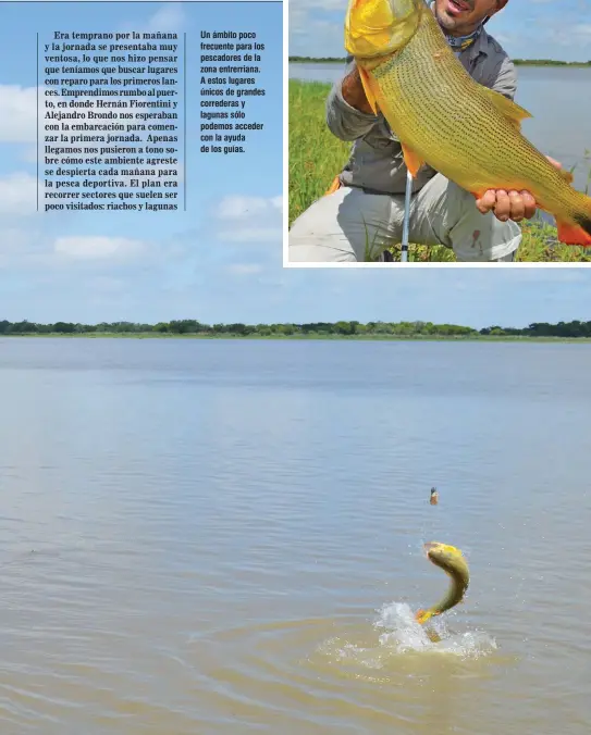  ??  ?? Un ámbito poco frecuente para los pescadores de la zona entrerrian­a. A estos lugares únicos de grandes correderas y lagunas sólo podemos acceder con la ayuda de los guías.