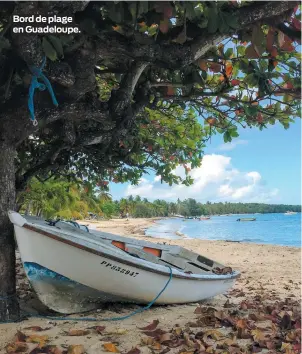  ??  ?? Bord de plage en Guadeloupe.