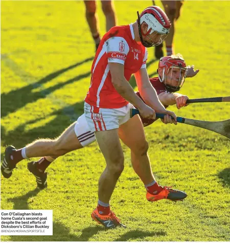  ??  ?? Con O’Callaghan blasts home Cuala’s second goal despite the best efforts of Dicksboro’s Cillian Buckley BRENDAN MORAN/SPORTSFILE