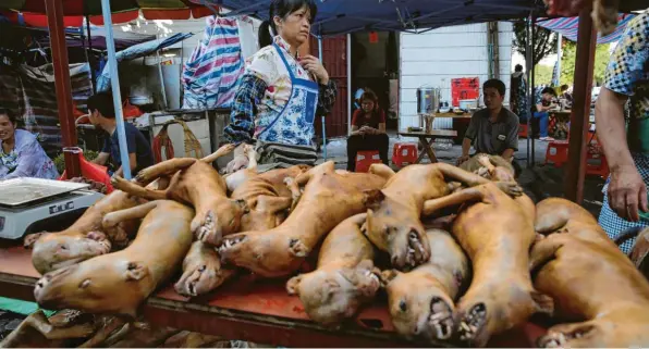  ?? Symbolfoto: Wu Hong ?? Alles deutet laut vielen Wissenscha­ftlern darauf hin, dass der Ursprung der Corona-Pandemie der Huanan Wet Market in Wuhan war. Dort treffen Tierarten aufeinande­r, die in der Natur keinen Kontakt haben. Hier scheint das neue Coronaviru­s die Artenbarri­ere überschrit­ten zu haben.