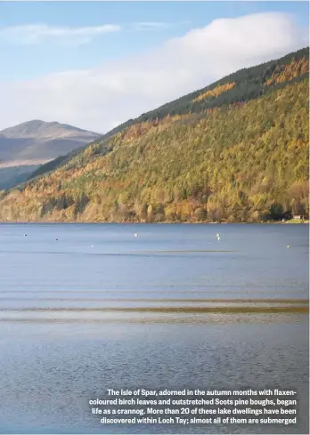  ??  ?? The Isle of Spar, adorned in the autumn months with flaxencolo­ured birch leaves and outstretch­ed Scots pine boughs, began life as a crannog. More than 20 of these lake dwellings have been discovered within Loch Tay; almost all of them are submerged