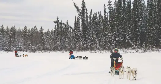  ?? PHOTOS: GREG OLSEN ?? Social distancing isn't really an issue when you're driving a dogsled in Yukon, but Canadians are still required to self-isolate for 14 days upon arrival.