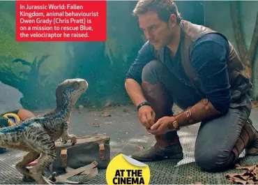  ??  ?? In Jurassic World: Fallen Kingdom, animal behaviouri­st Owen Grady (Chris Pratt) is on a mission to rescue Blue, the velocirapt­or he raised.