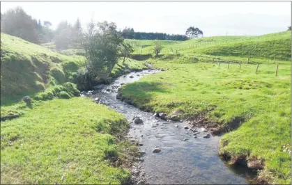  ??  ?? BARRIER: UEM’S Tahawai Stream restoratio­n project will see the stream banks fenced and planted.