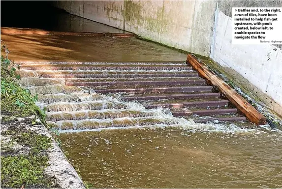  ?? National Highways ?? Baffles and, to the right, a run of tiles, have been installed to help fish get upstream, with pools created, below left, to enable species to navigate the flow