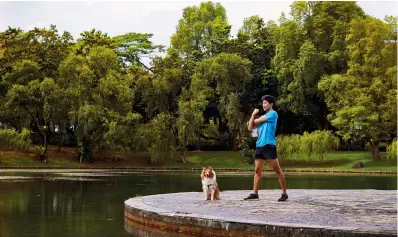  ??  ?? JOEL TAY, 24, STUDENT BUDDY, 4, SHETLAND SHEEPDOG