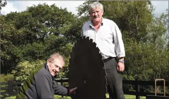  ??  ?? Brendan Ferris with Teddy Clifford working on the Stenner Gunn 2 Saw which is over 100 years old and will be on display at Beaufort Threshing Cancer Day this Sunday 24th September.