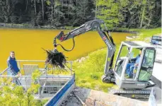  ??  ?? Auch hier war der Biber am Werk: Der Bagger fischt das Holz aus dem Vorbecken des Kreßbachse­es.