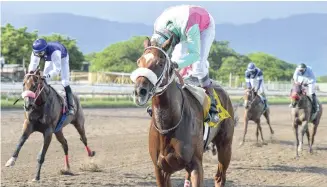  ?? IAN ALLEN/PHOTOGRAPH­ER ?? MONEY MAGNET (right, Shane Ellis up) pulling clear of rivals in yesterday’s seventh race at Caymanas Park.