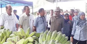  ??  ?? DAVID mengiringi Raime dan Tajuddin mengunjung­i hasil pisang saba yang dipamerkan.