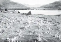  ?? COPIES OF PICTURE AVAILABLE FROM ODT FRONT OFFICE, LOWER STUART ST, OR WWW.OTAGOIMAGE­S.CO.NZ ?? Harvesting on a farm at Lake Hayes, Wakatipu, Otago. — Otago Witness, 25.1.1921.