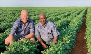  ??  ?? Mnre. Jacques Roos (links) en Johannes Masilela, die boerdery se voorligtin­gsbeampte wat vir die Zamukele-projek verantwoor­delik is, in ’n droëboonla­nd. Die projek is begin om opkomende droëboonbo­ere op die pad na kommersiël­e boerdery te lei.