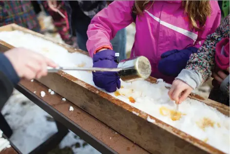  ?? DAX MELMER ?? Visitors line up for maple taffy made in a box of snow on Saturday during the annual Maple Syrup Festival at the John R. Park Homestead Conservati­on Area along County Road 50 in Essex.