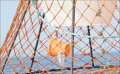  ?? PHOTO COURTESY OF KHANH NGUYEN ?? A single LED light inside of test crab traps proved to be an effective draw, according to researcher­s at the Memorial University of Newfoundla­nd Fisheries and Marine Institute.