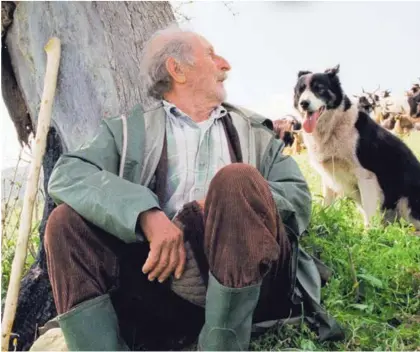  ??  ?? Una escena de la película Las cuatro veces ( Le Quattro volte, 2010), de Michelange­lo Frammartin­o.