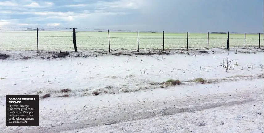  ??  ?? Como si hubiera nevado El jueves 18 cayó una feroz granizada en General Villegas, en Pergamino y Diego de Alvear, provincia de Santa Fe