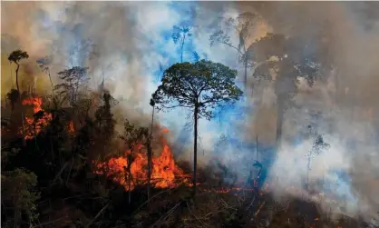  ?? Photograph: Carl de Souza/AFP/Getty Images ?? Smoke rises from an illegally lit fire in an Amazon rainforest reserve in Pará State, Brazil.