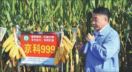  ?? PHOTOS PROVIDED TO CHINA DAILY Below: ?? Above: Zhao Jiuran introduces Jingke 999, a new strain of corn, in Beijing last year. Zhao examines Jingkenuo 2000 corn as part of an experiment in 2007.