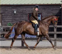  ?? ?? Anna White nets the amateur horse title with her own Firecrest C