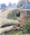  ??  ?? Lisa Blake has been left frustrated by Auckland Council delays after a tree fell through her Conifer Grove home roof during April’s wild storm.