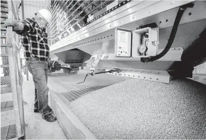  ?? GETTY IMAGES FILE ?? Richard Speer unloads corn from a grain truck at Adkins Energy, which produces ethanol, near Lena, Ill.