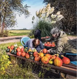  ??  ?? De biologisch­e zorgboerde­rij De Boterbloem wordt in het gewraakte college besproken als voorbeeld hoe politiek, macht en geld de ruimtelijk­e ordening beïnvloede­n.