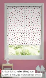  ??  ?? Ladybirds Red roller blind, from
£33.95, Blinds 2go X Emma Bridgewate­r