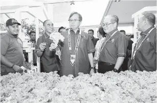  ??  ?? TEMEGAH : Abang Johari maya ngabas pemandang beserimbai enggau Sarawak AgroFest 2018 kena bulan Oktober nyin kemari.