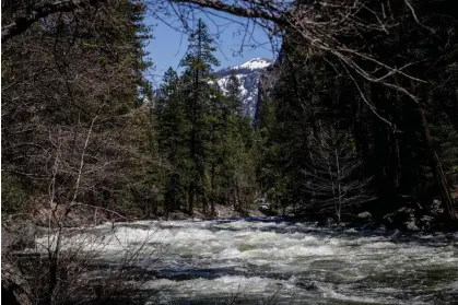  ?? ?? The Merced River is expected to rise as warm weather melts the historic snowpack in the region, and could cause widespread flooding. Photograph: Brontë Wittpenn/AP