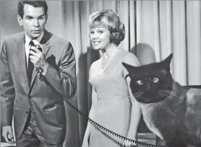 ?? Disney ?? ‘THAT DARN CAT!’ Dean Jones, with Hayley Mills, appeared in “The Love Bug” and “The Shaggy D.A.” but also had the lead in the Broadway production of Stephen Sondheim’s musical “Company.” After a series of setbacks, Jones underwent a religious conversion.