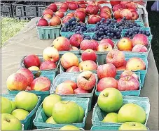  ?? Photograph submitted ?? These apples, offered at the Pea Ridge Farmers Market, are perfect for a variety of recipes that will highlight the fall season. See Apple Blossom recipe on page 6A